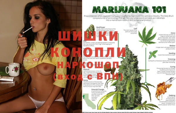 трава Абаза