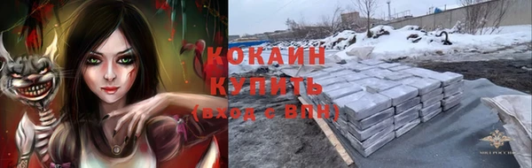 трава Абаза