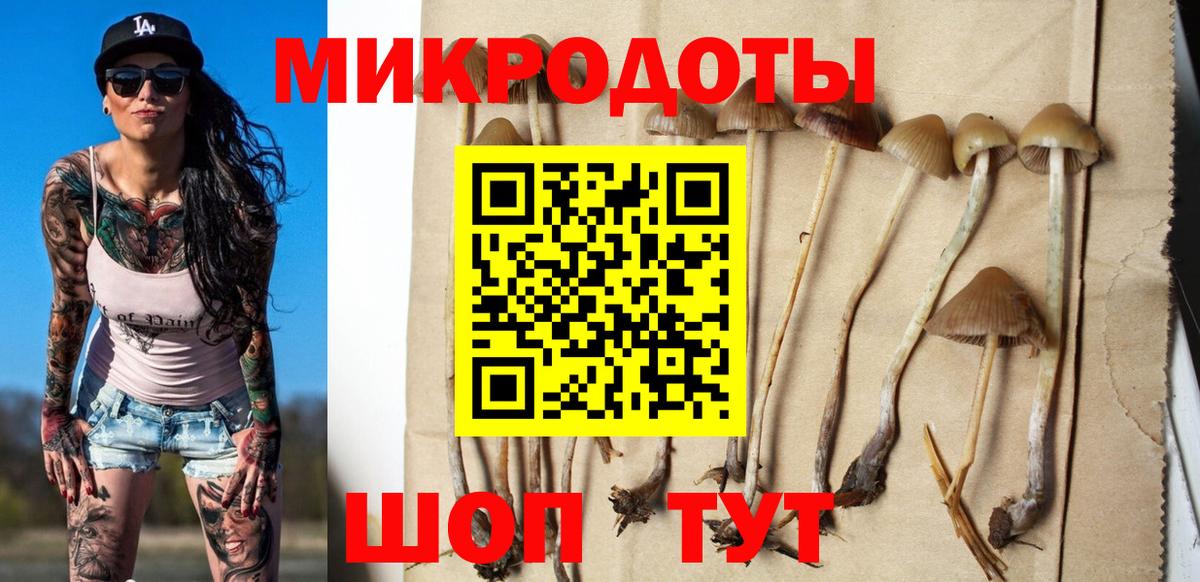 Псилоцибиновые грибы Psilocybine cubensis  Галлюциногенные грибы прущие грибы  Нефтеюганск  Вход с VPN 