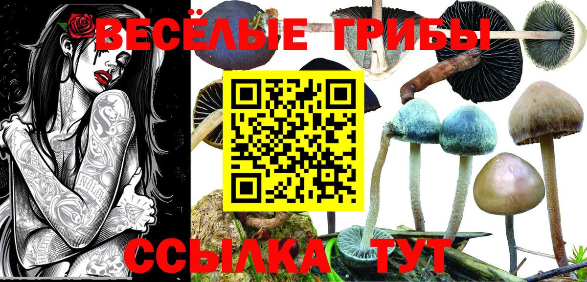 Галлюциногенные грибы GOLDEN TEACHER Нефтеюганск